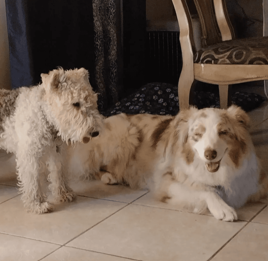 Dos huéspedes descansando juntos